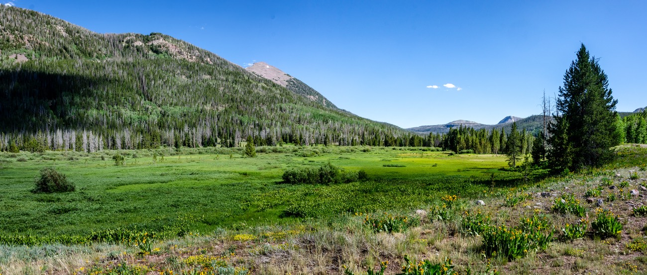 DSC 1169-Pano