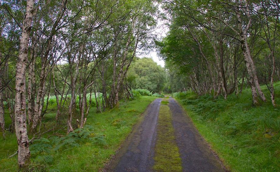 DSC 4644