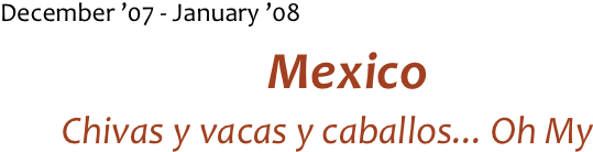 December ’07 - January ’08
Mexico
Chivas y vacas y caballos... Oh My