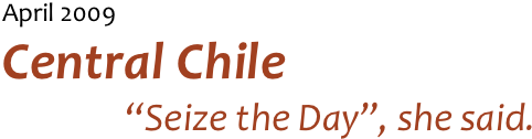 April 2009
Central Chile
“Seize the Day”, she said.