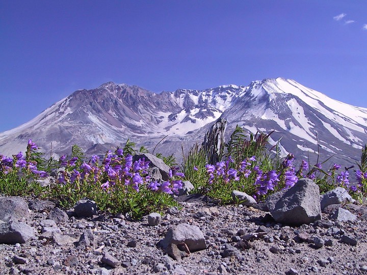 0306-Mt St Helens 04