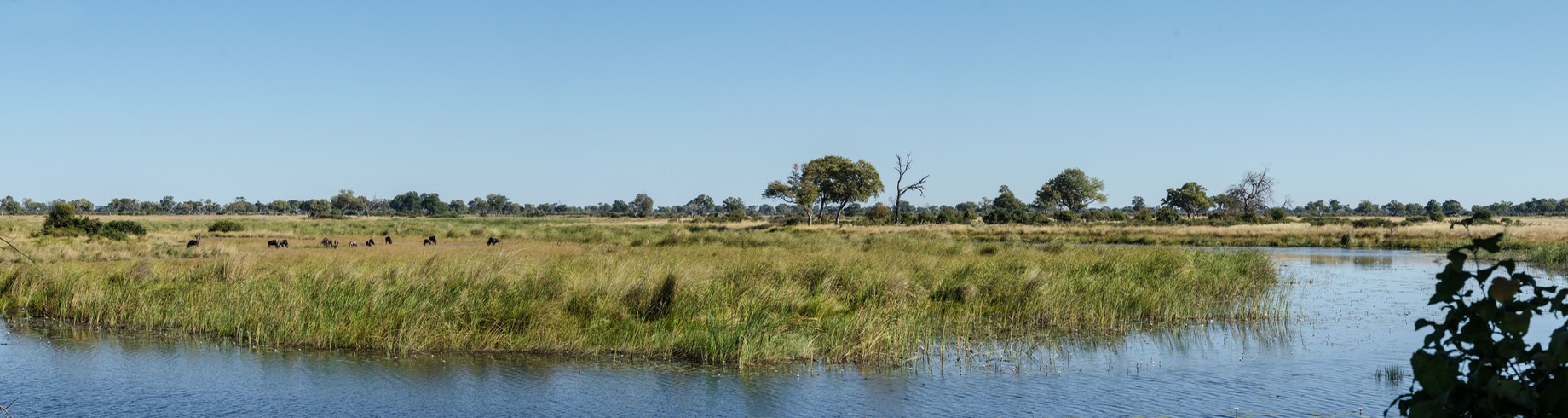 DSC 2485-Pano