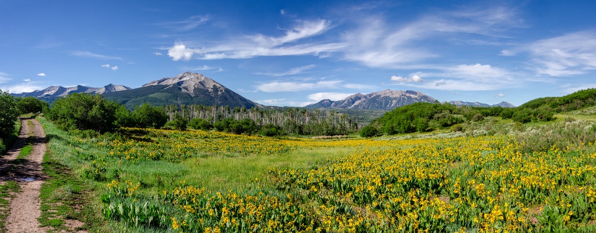 DSC 6443-Pano